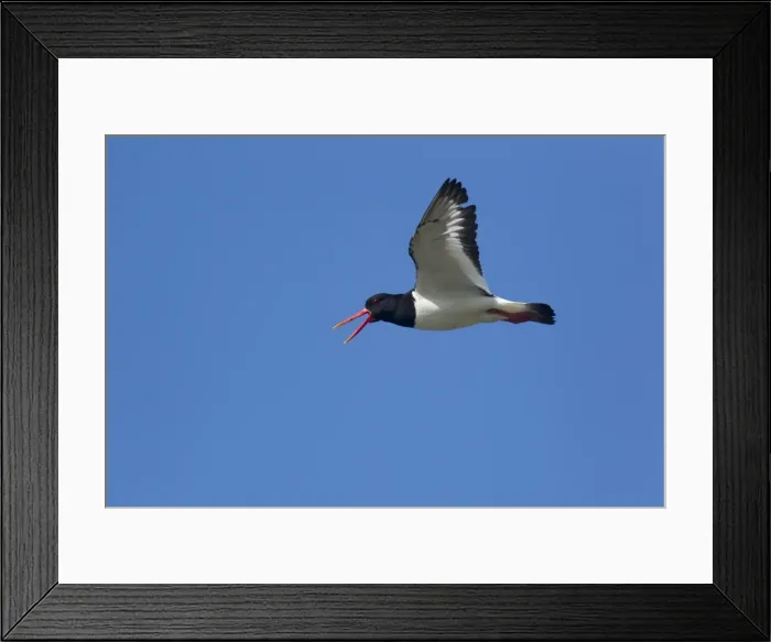 Framed Print : Picture No. 10894481 Framed Print : Picture No. 10894481