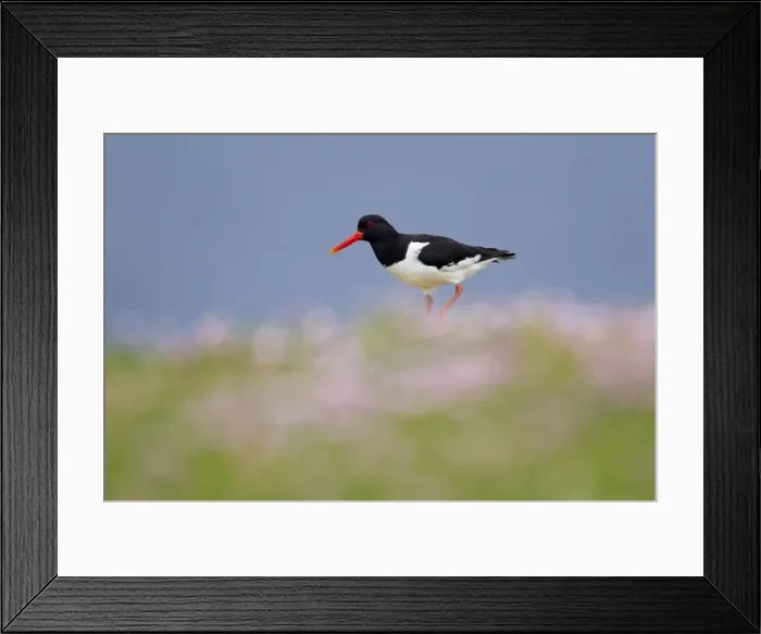 Framed Print : Picture No. 10894478 Framed Print : Picture No. 10894478