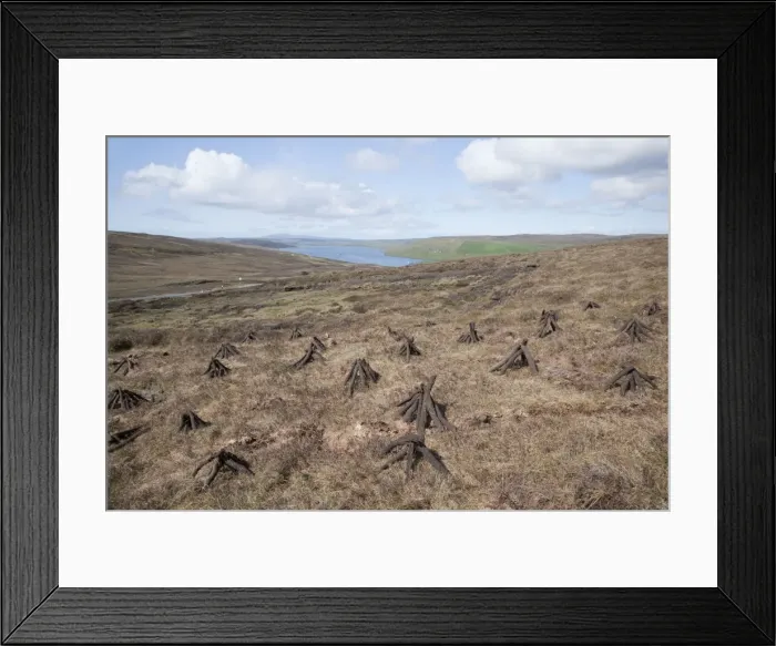 Framed Print : Picture No. 10894511 Framed Print : Picture No. 10894511