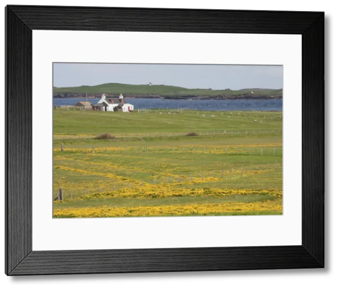 Framed Print : Picture No. 10894534 Framed Print : Picture No. 10894534