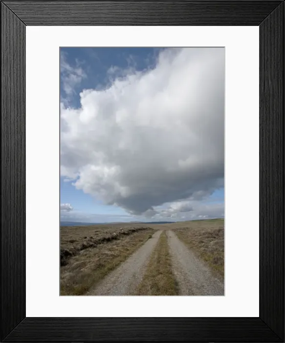 Framed Print : Picture No. 10894536 Framed Print : Picture No. 10894536