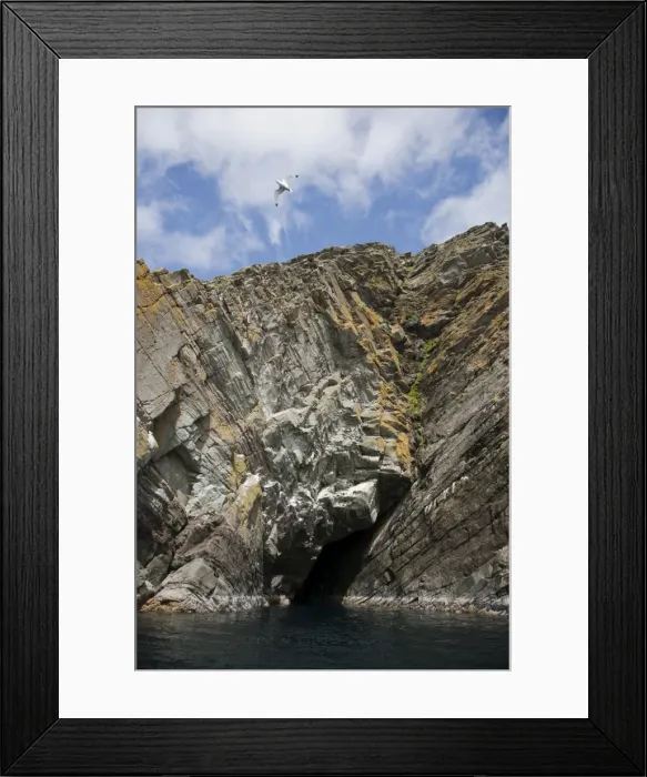 Framed Print : Picture No. 10894537 Framed Print : Picture No. 10894537