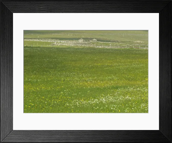 Framed Print : Picture No. 10894546 Framed Print : Picture No. 10894546