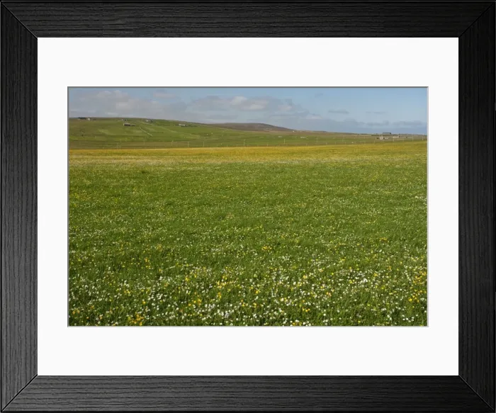 Framed Print : Picture No. 10894545 Framed Print : Picture No. 10894545
