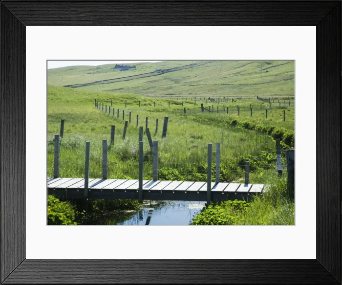Framed Print : Picture No. 10894547 Framed Print : Picture No. 10894547