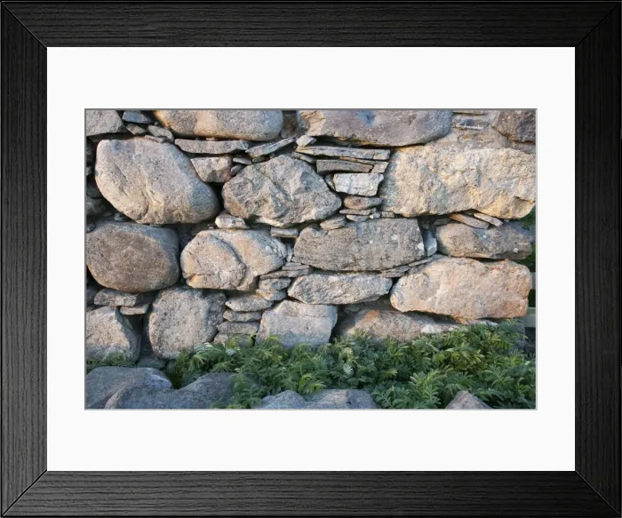 Framed Print : Picture No. 10894549 Framed Print : Picture No. 10894549