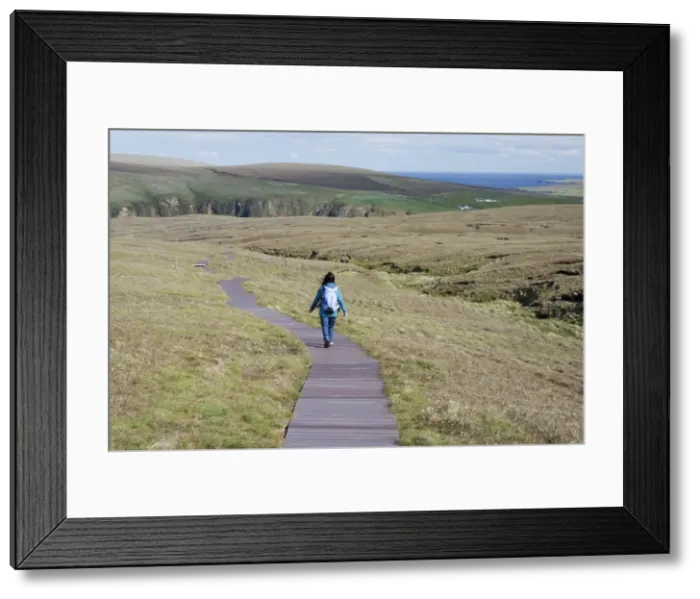 Framed Print : Picture No. 10894551 Framed Print : Picture No. 10894551