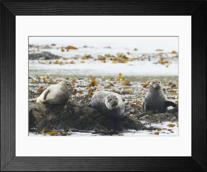 Framed Print : Picture No. 10894563 Framed Print : Picture No. 10894563