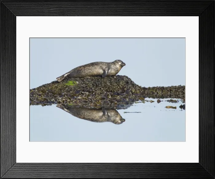 Framed Print : Picture No. 10894564 Framed Print : Picture No. 10894564