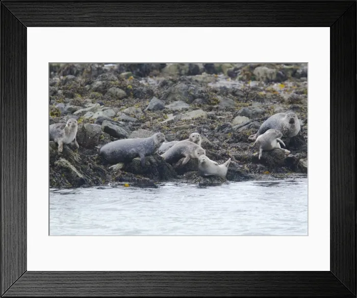 Framed Print : Picture No. 10894562 Framed Print : Picture No. 10894562