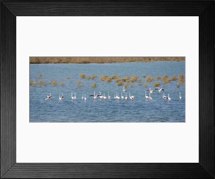 Framed Print : Picture No. 10894631 Framed Print : Picture No. 10894631