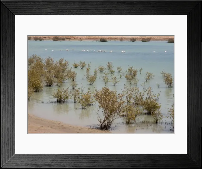 Framed Print : Picture No. 10894628 Framed Print : Picture No. 10894628