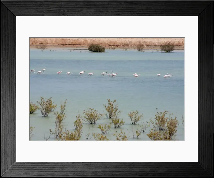 Framed Print : Picture No. 10894629 Framed Print : Picture No. 10894629