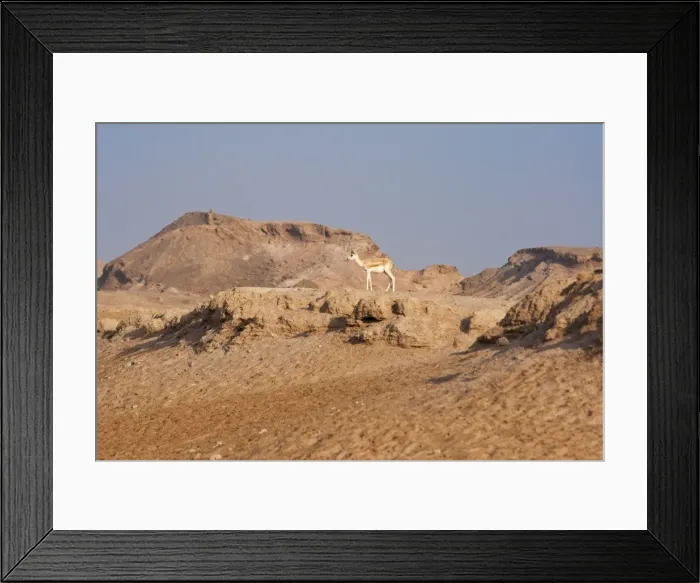 Framed Print : Picture No. 10894664 Framed Print : Picture No. 10894664