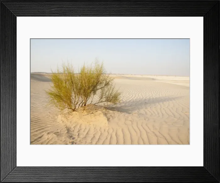 Framed Print : Picture No. 10894673 Framed Print : Picture No. 10894673