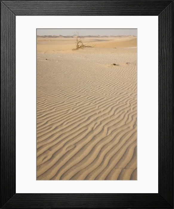 Framed Print : Picture No. 10894669 Framed Print : Picture No. 10894669