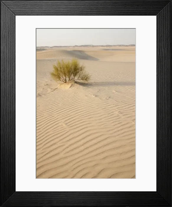Framed Print : Picture No. 10894675 Framed Print : Picture No. 10894675