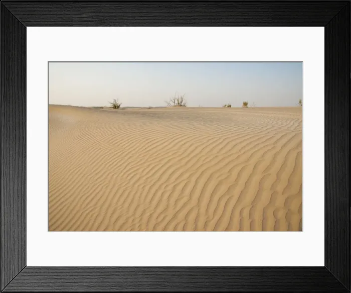 Framed Print : Picture No. 10894676 Framed Print : Picture No. 10894676