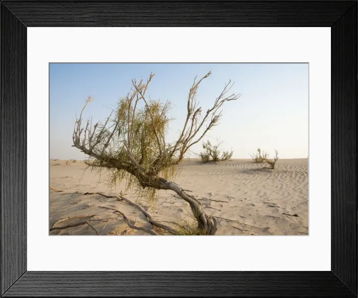 Framed Print : Picture No. 10894677 Framed Print : Picture No. 10894677
