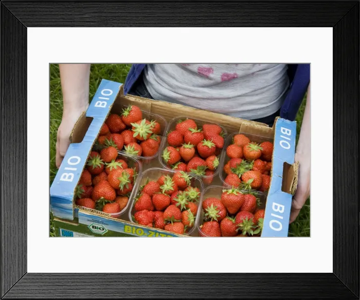 Framed Print : Picture No. 10894680 Framed Print : Picture No. 10894680