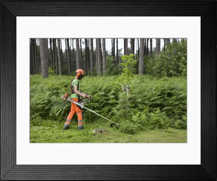 Framed Print : Picture No. 10894686 Framed Print : Picture No. 10894686