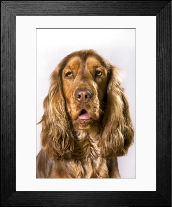 Framed Print : Picture No. 10894694 Framed Print : Picture No. 10894694