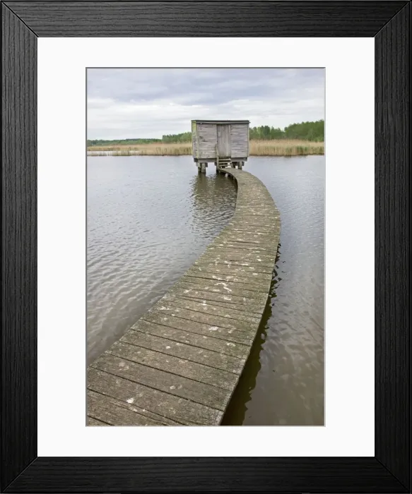 Framed Print : Picture No. 10894695 Framed Print : Picture No. 10894695
