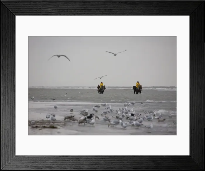 Framed Print : Picture No. 10894703