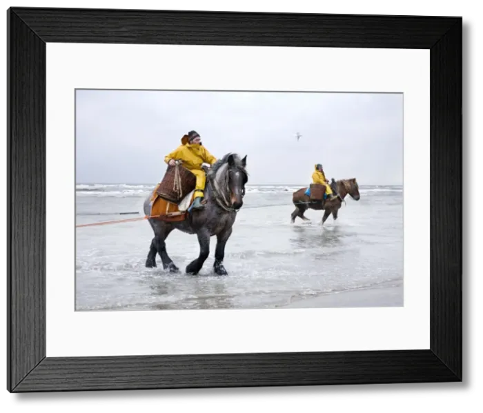 Framed Print : Picture No. 10894704