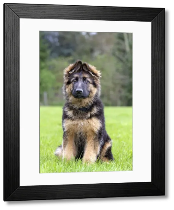 Framed Print : Picture No. 10894697 Framed Print : Picture No. 10894697