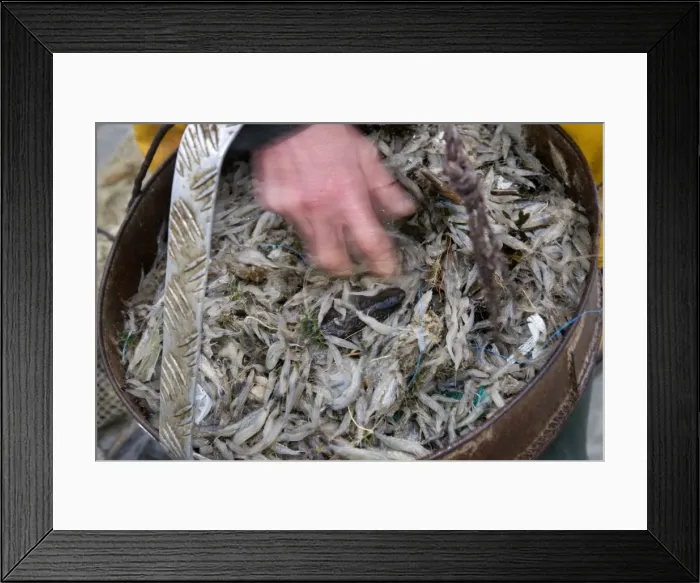 Framed Print : Picture No. 10894705