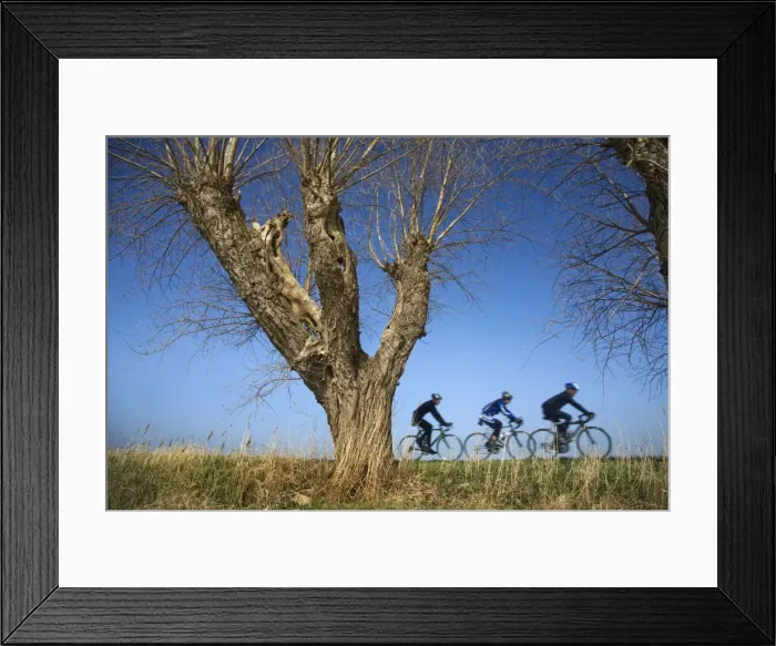 Framed Print : Picture No. 10894701 Framed Print : Picture No. 10894701