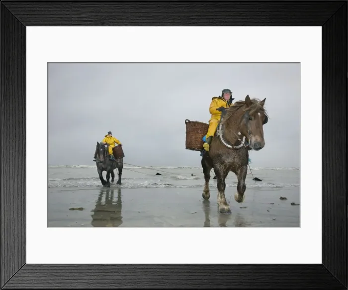 Framed Print : Picture No. 10894706