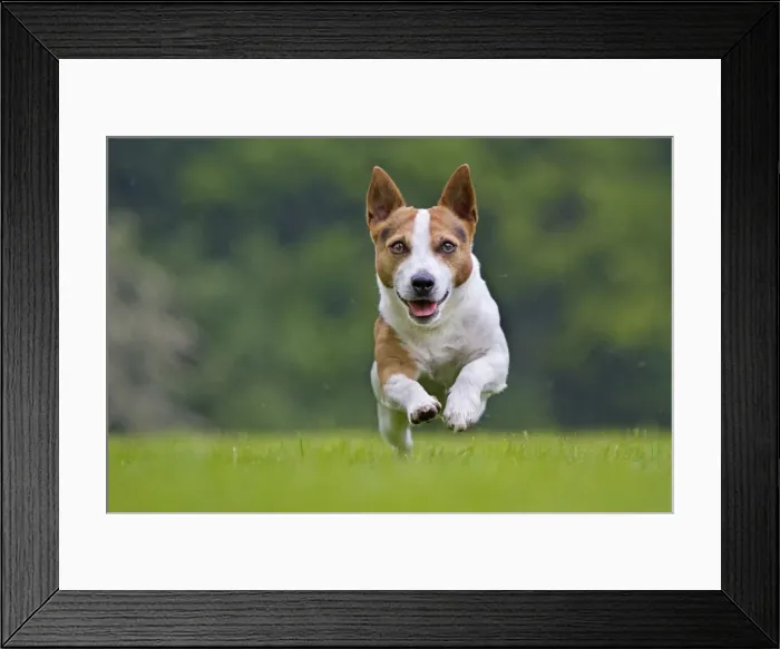 Framed Print : Picture No. 10894712 Framed Print : Picture No. 10894712