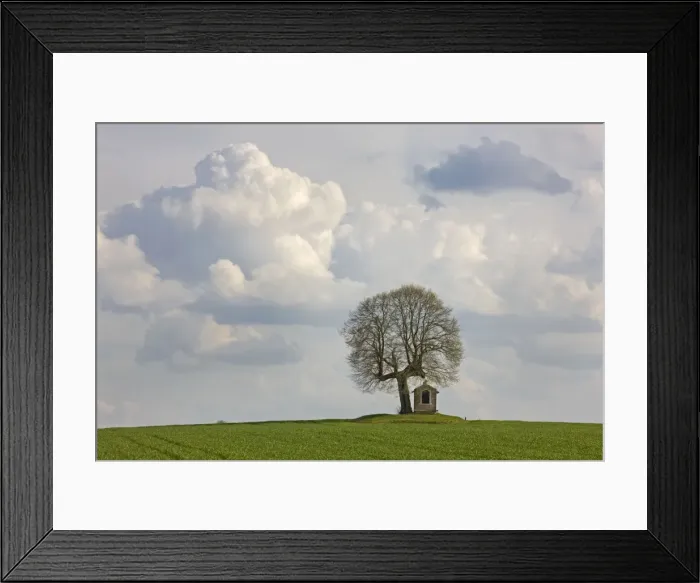 Framed Print : Picture No. 10894718 Framed Print : Picture No. 10894718