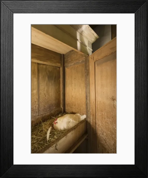 Framed Print : Picture No. 10894722
