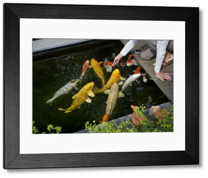 Framed Print : Picture No. 10894732 Framed Print : Picture No. 10894732