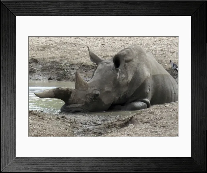 Framed Print : Picture No. 10893774 Framed Print : Picture No. 10893774
