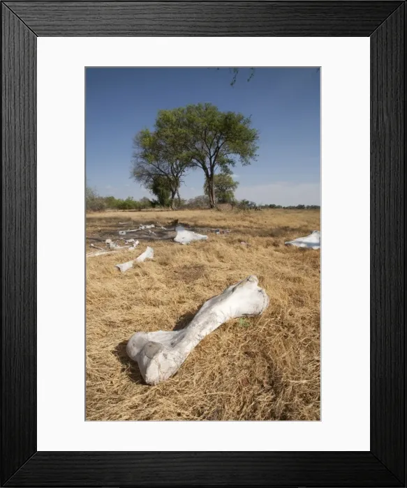 Framed Print : Picture No. 10893771 Framed Print : Picture No. 10893771