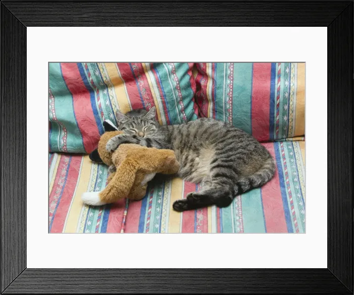 Framed Print : Picture No. 10893777 Framed Print : Picture No. 10893777