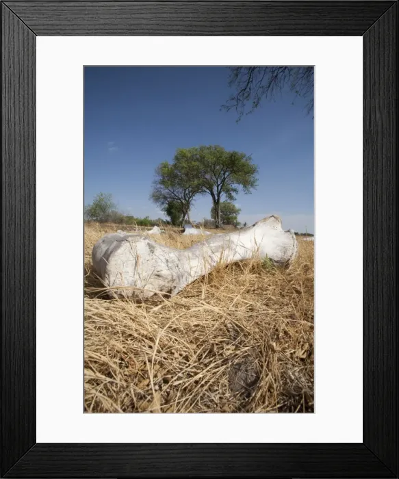 Framed Print : Picture No. 10893773