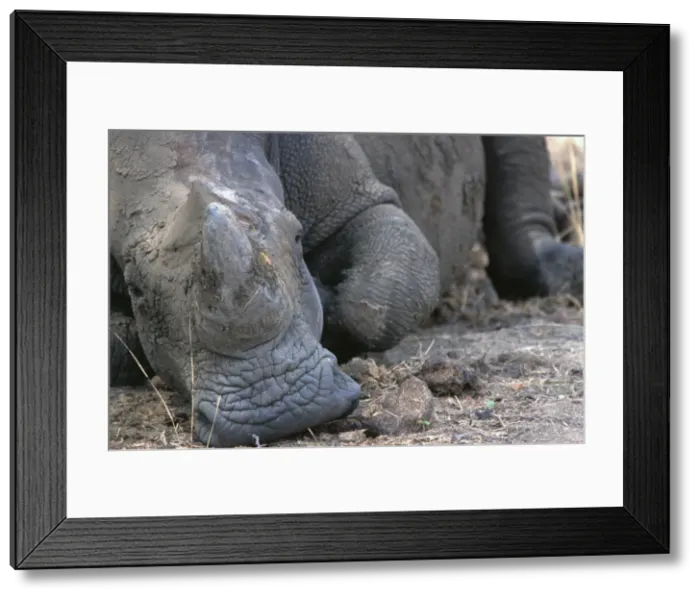 Framed Print : Picture No. 10893769 Framed Print : Picture No. 10893769