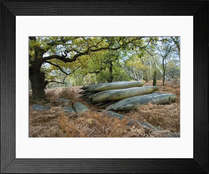 Framed Print : Picture No. 10893764 Framed Print : Picture No. 10893764