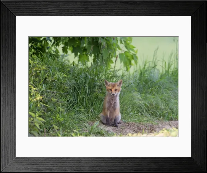 Framed Print : Picture No. 10893788 Framed Print : Picture No. 10893788