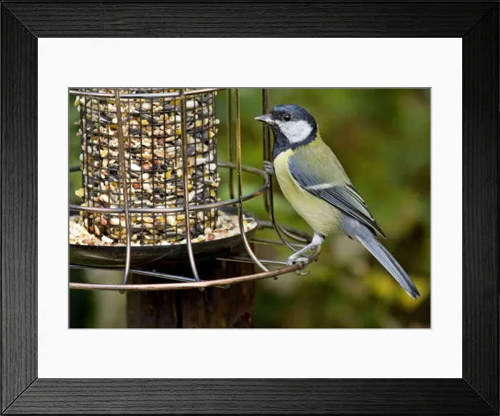 Framed Print : Picture No. 10894736 Framed Print : Picture No. 10894736