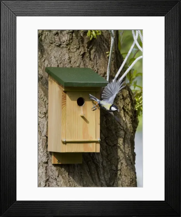 Framed Print : Picture No. 10894739 Framed Print : Picture No. 10894739