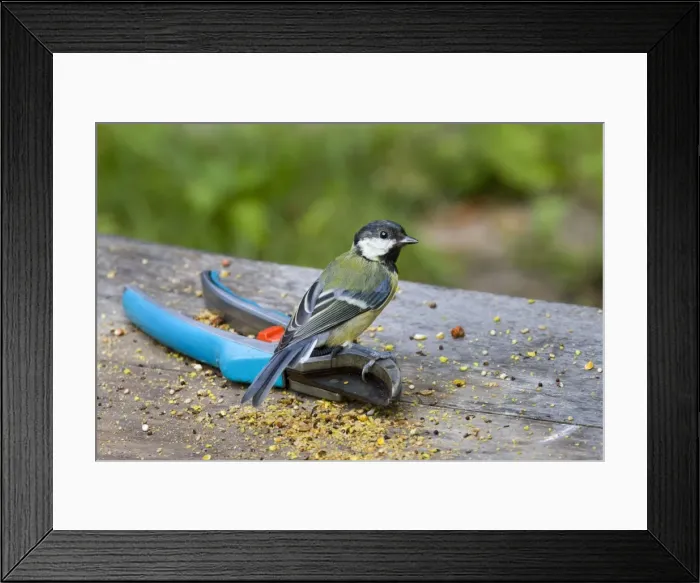 Framed Print : Picture No. 10894735 Framed Print : Picture No. 10894735