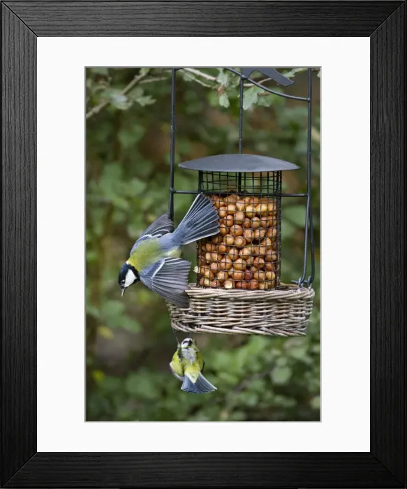 Framed Print : Picture No. 10894738 Framed Print : Picture No. 10894738