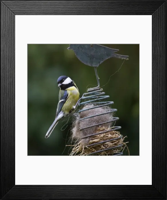 Framed Print : Picture No. 10894748 Framed Print : Picture No. 10894748