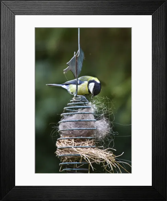 Framed Print : Picture No. 10894749 Framed Print : Picture No. 10894749